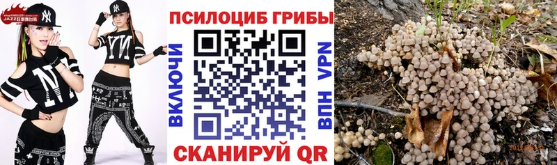 Псилоцибиновые грибы Cubensis  мега как войти  Энгельс 