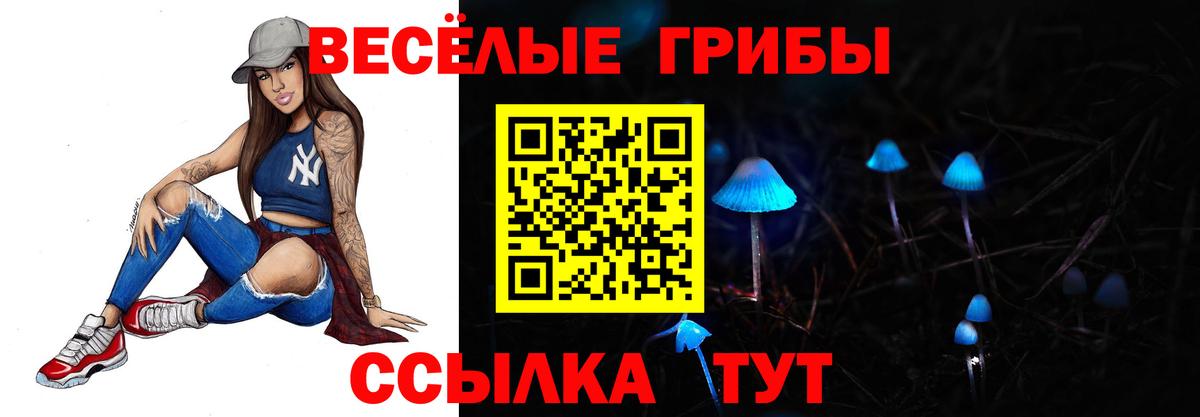 Энгельс  Галлюциногенные грибы MAGIC MUSHROOMS  Вход с VPN 